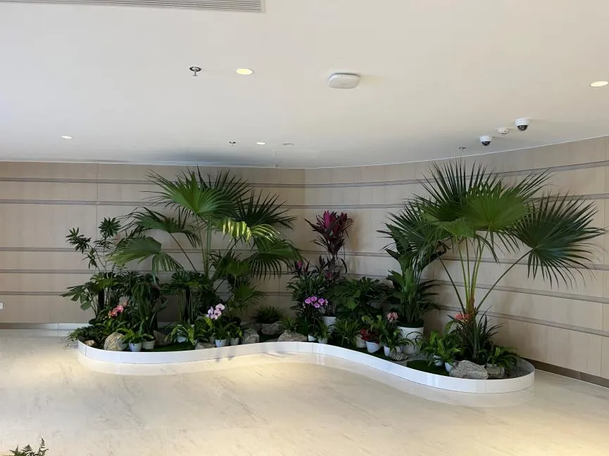 奉化花卉出租方案