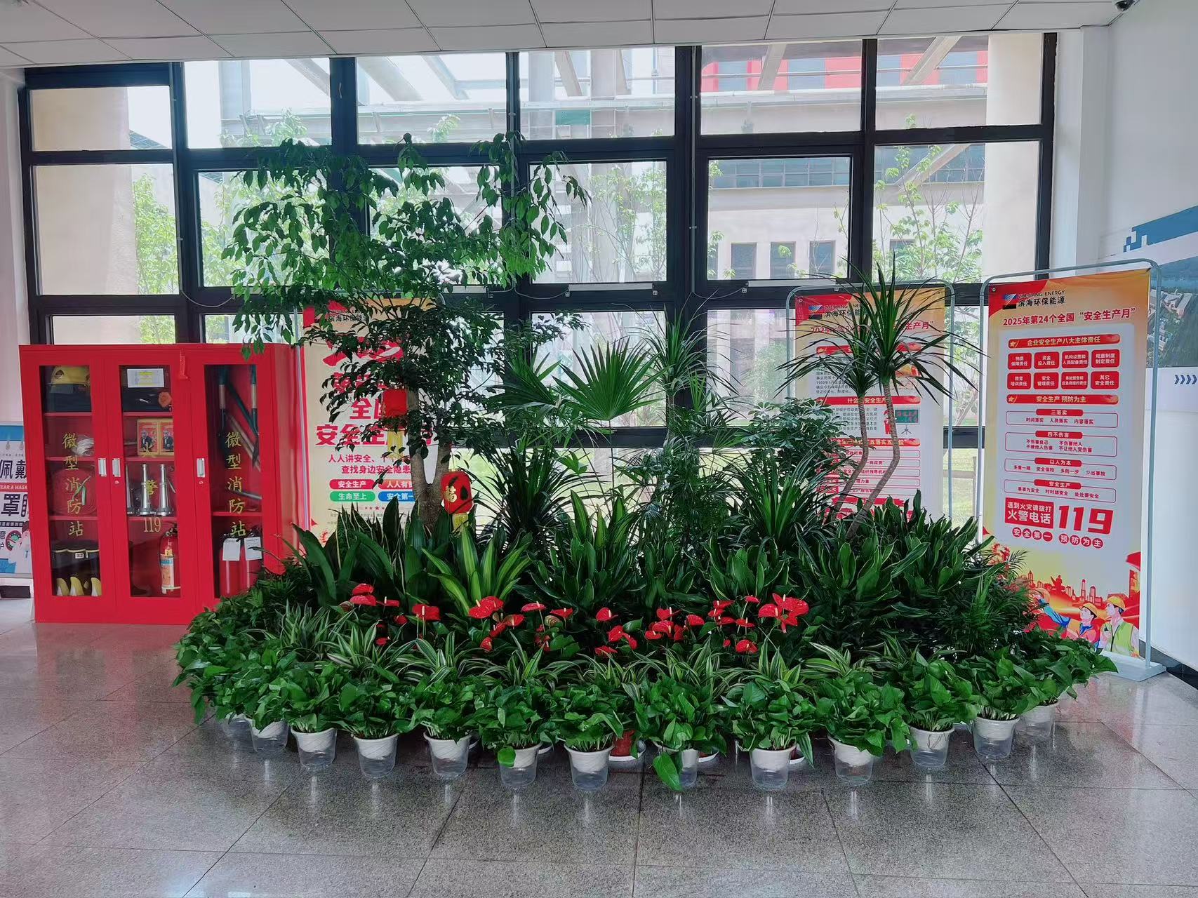 北仑绿植租赁价格